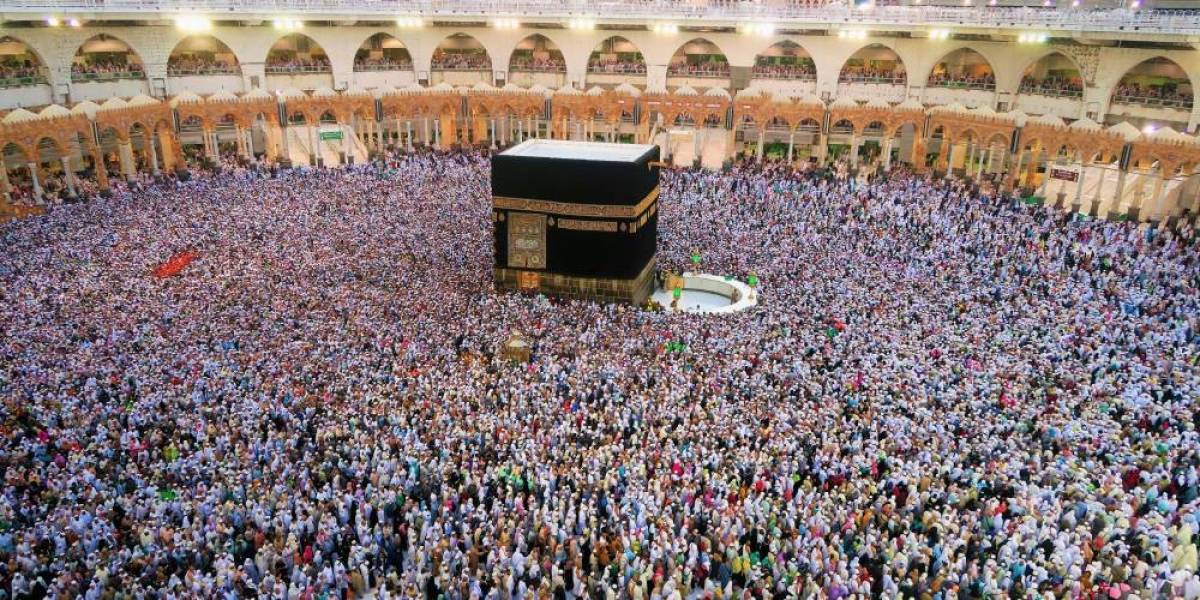 SÖMESTR UMRESİ (14 GÜNLÜK) - Resim #8