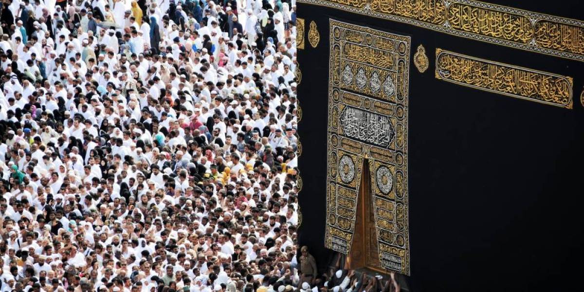 SÖMESTR UMRESİ (14 GÜNLÜK) - Resim #1