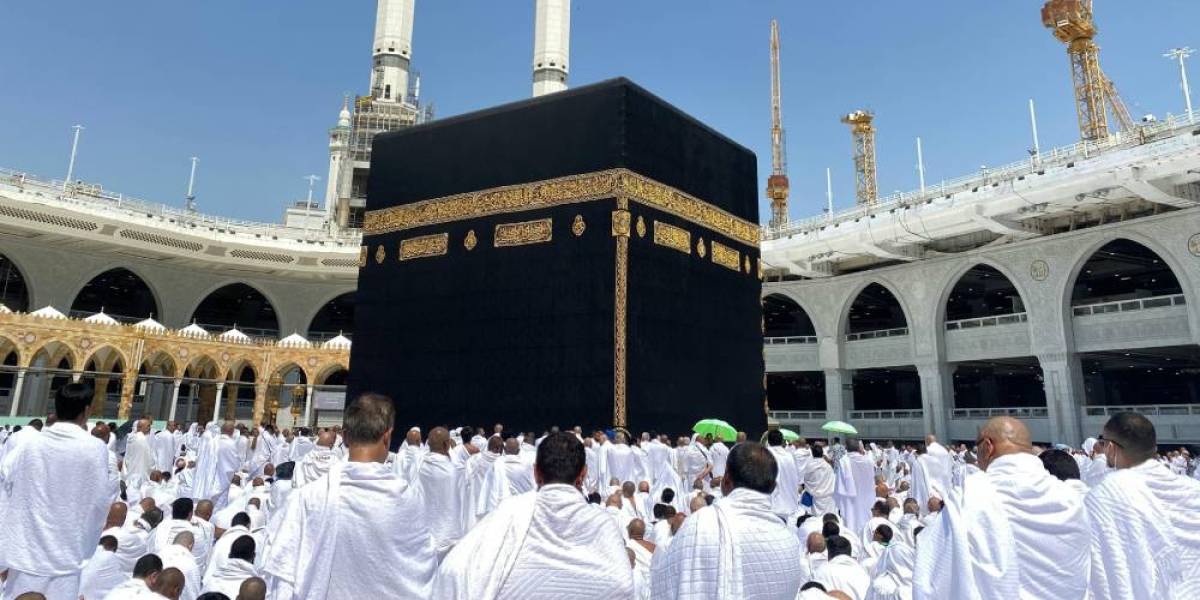 SÖMESTR UMRESİ (14 GÜNLÜK) - Resim #3